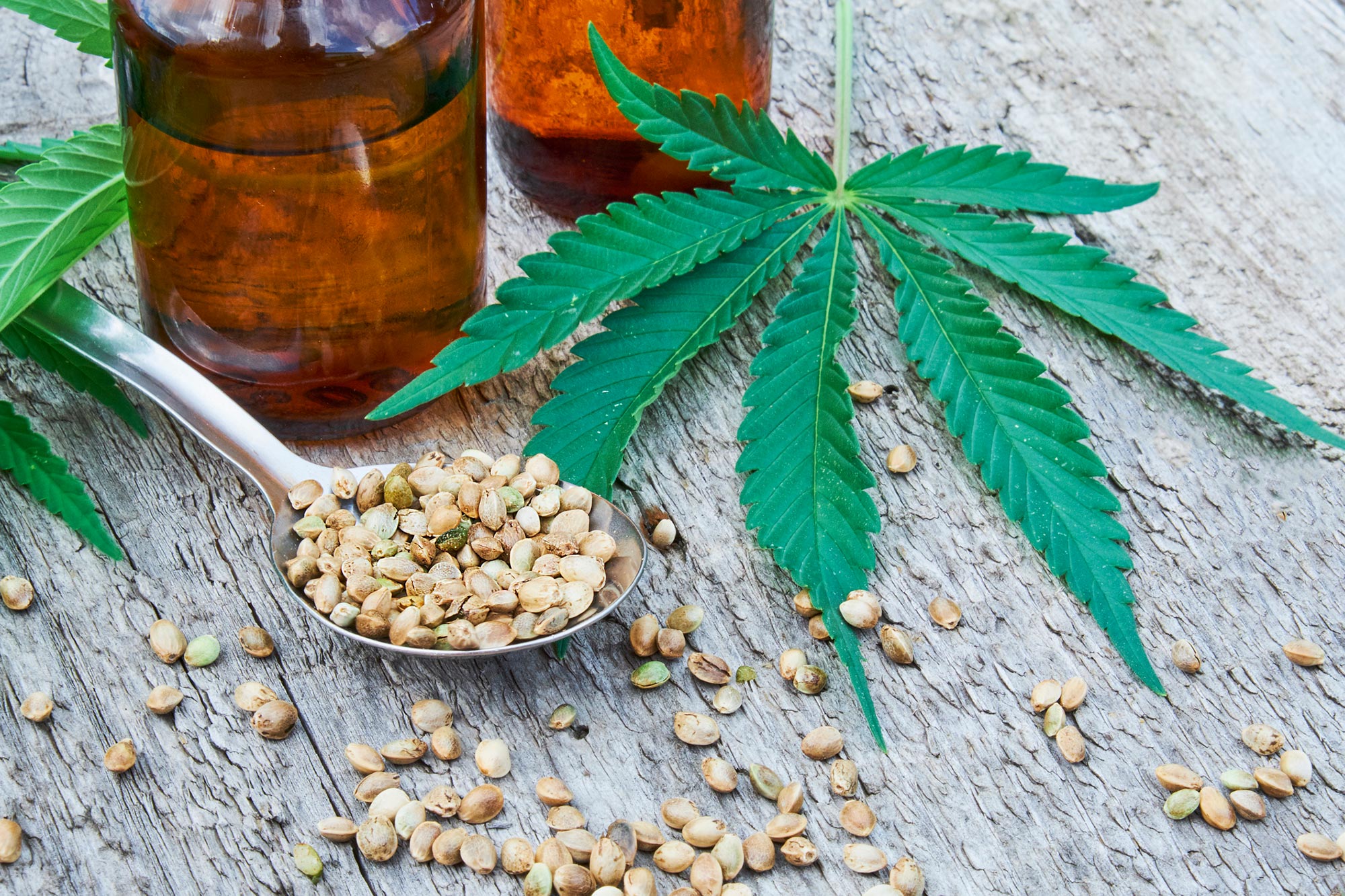 The Question You’re All Asking: What’s the Difference Between Hemp and Marijuana?